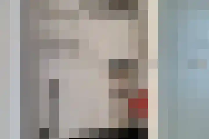 De Akkerbouw 7 Hoogkarspel thumbnail 27