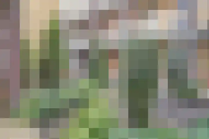 De Akkerbouw 7 Hoogkarspel thumbnail 7