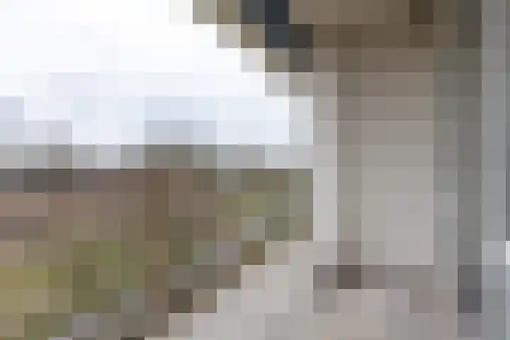 De Akkeren 109 Soest thumbnail 16