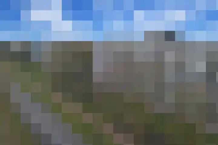 De Akkeren 109 Soest thumbnail 17