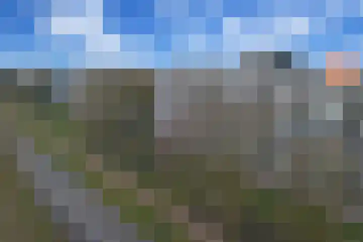 De Akkeren 109 Soest thumbnail 18
