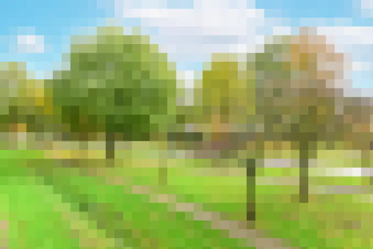 De Akkeren 17 Soest thumbnail 11