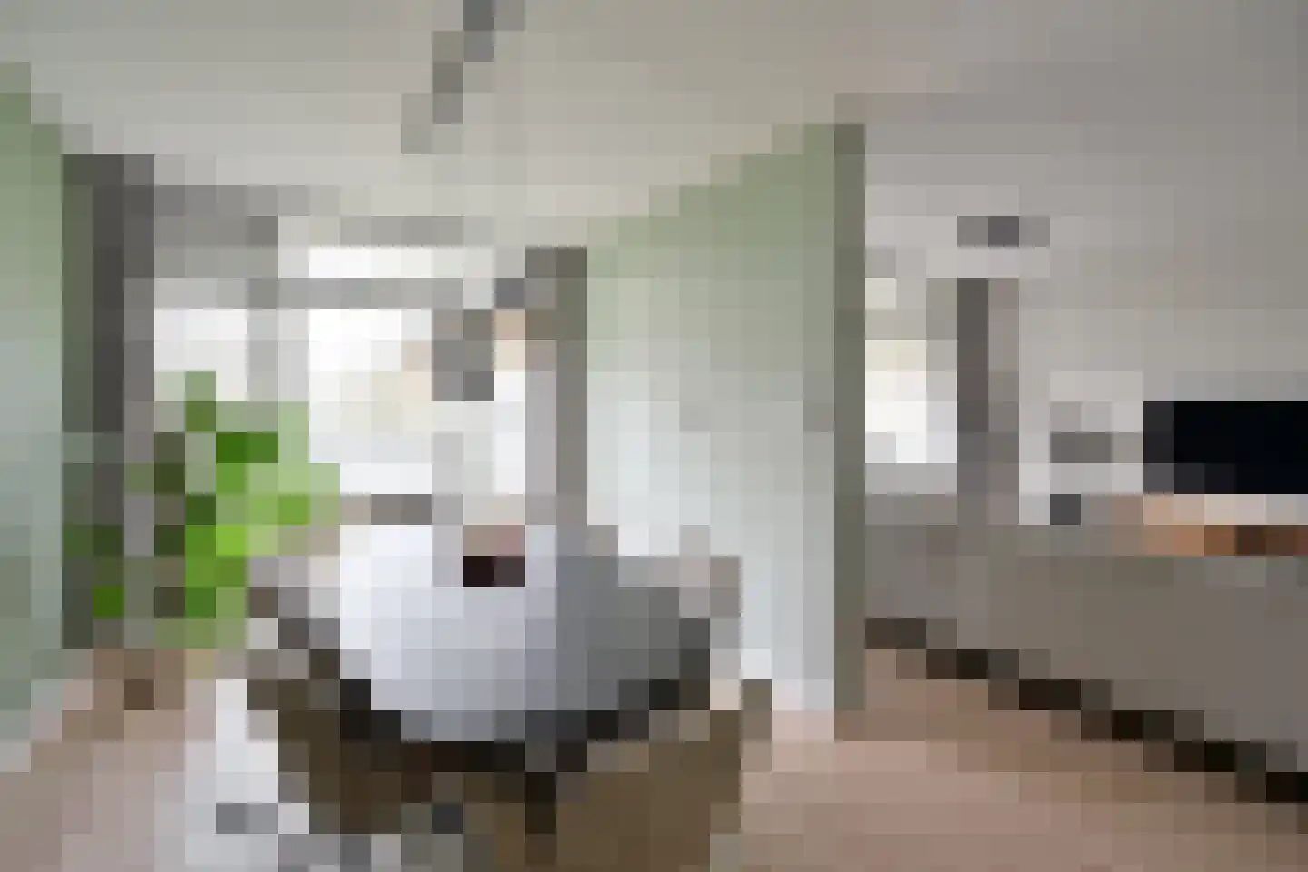 De Akkeren 17 Soest thumbnail 6