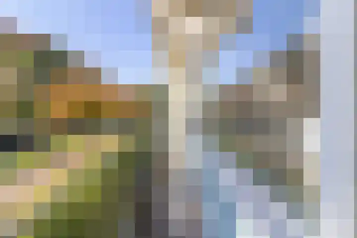 De Akkeren 30 Soest thumbnail 12
