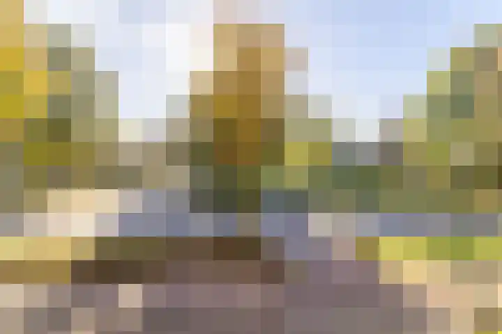 De Akkeren 30 Soest thumbnail 13