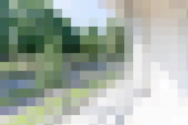 De Akkeren 36 Soest thumbnail 14