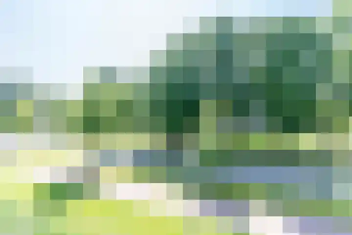 De Akkeren 36 Soest thumbnail 16