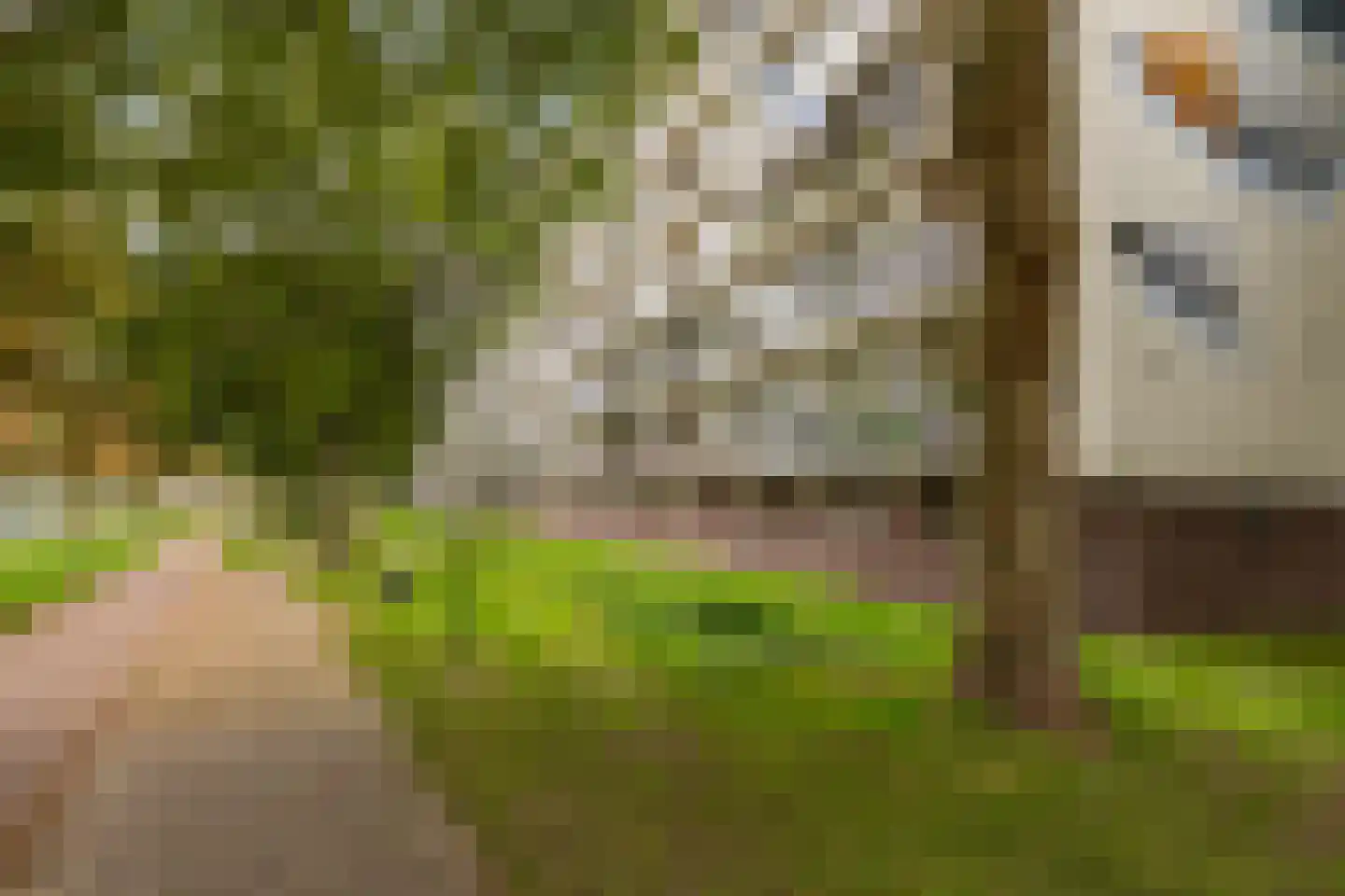 De Akkeren 41 A Soest thumbnail 21