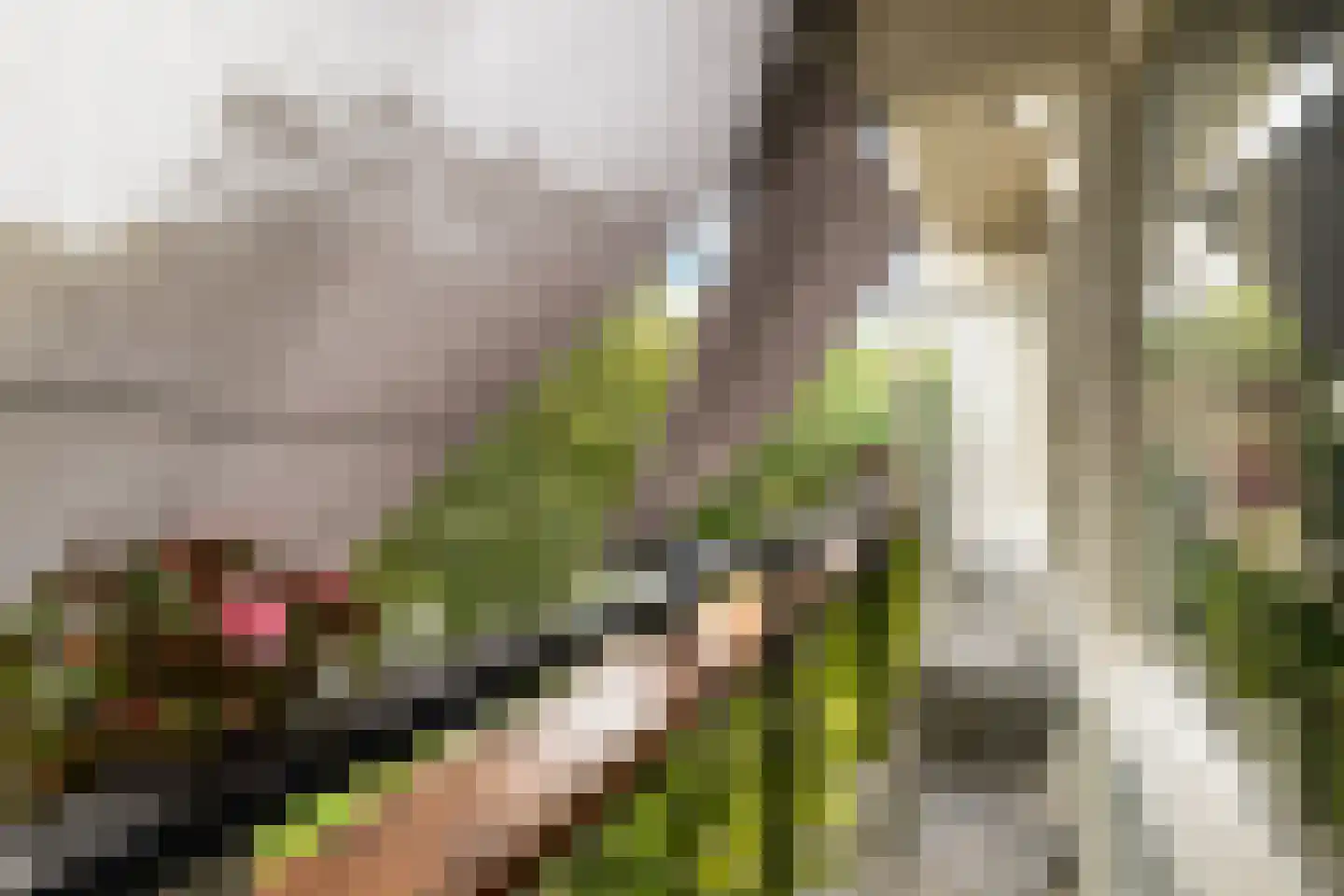 De Akkeren 41 A Soest thumbnail 9