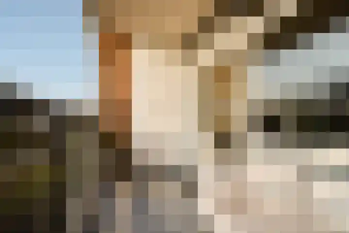 De Akkeren 67 Soest thumbnail 14