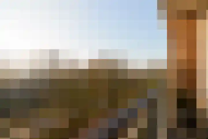 De Akkeren 67 Soest thumbnail 16