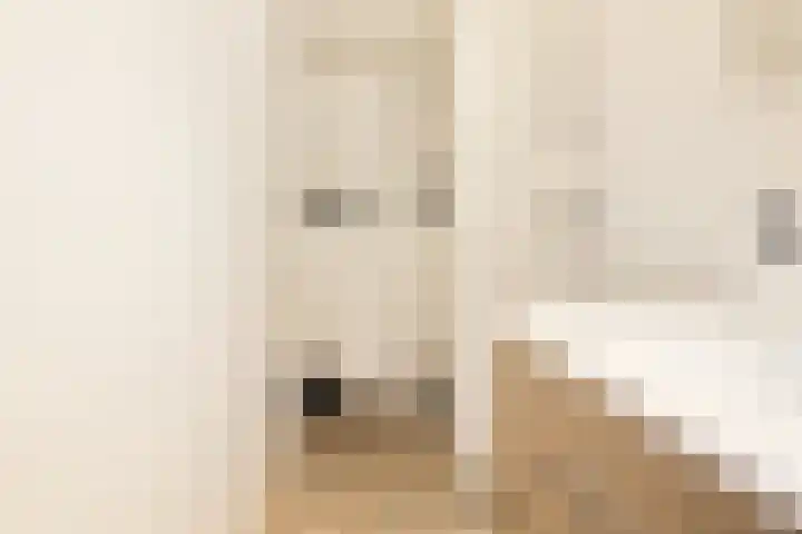 De Akkeren 67 Soest thumbnail 18