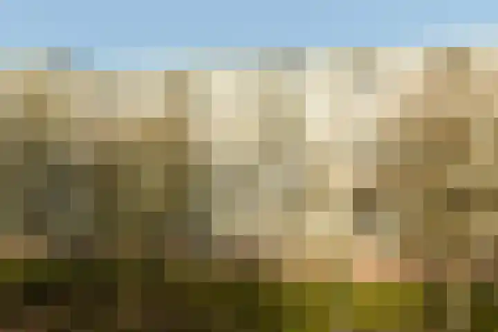 De Akkeren 67 Soest thumbnail 29