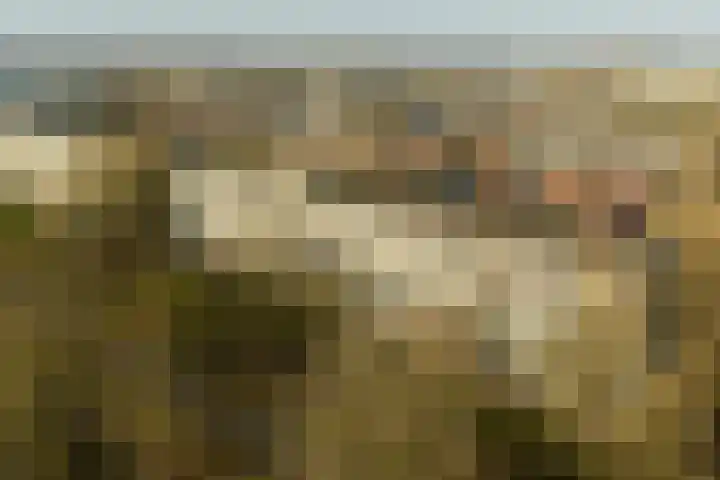De Akkeren 67 Soest thumbnail 30