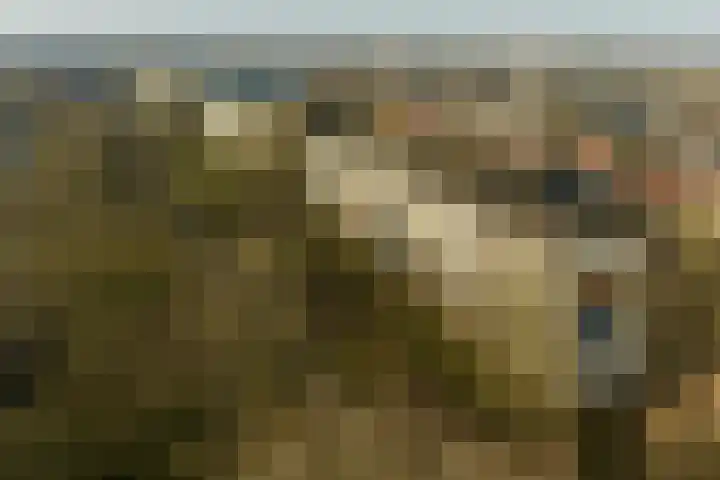 De Akkeren 67 Soest thumbnail 31