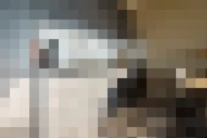 De Akkeren 67 Soest thumbnail 6