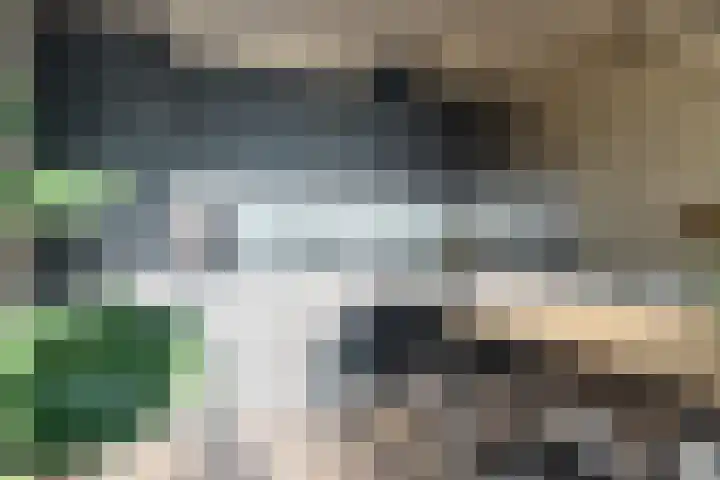 De Akkeren 67 Soest thumbnail 7