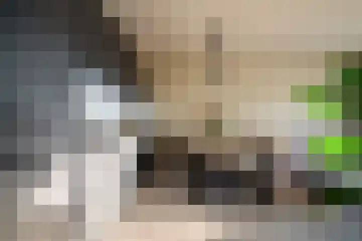 De Akkeren 67 Soest thumbnail 8