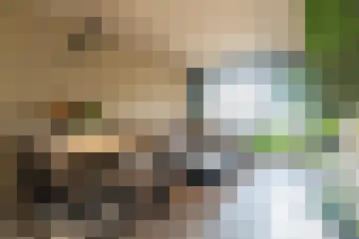 De Akkeren 67 Soest thumbnail 9