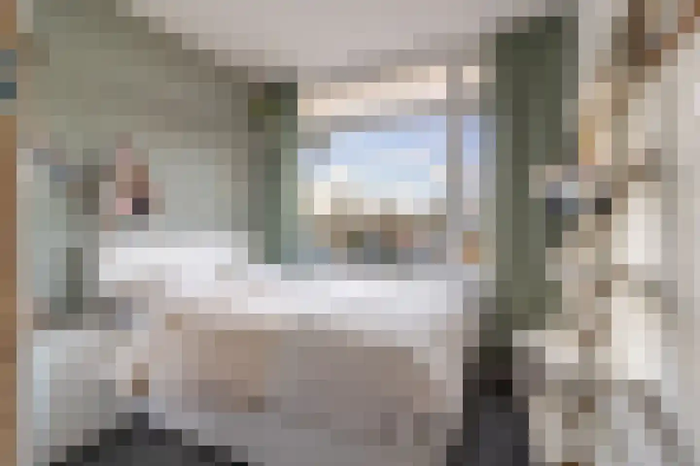 De Akkeren 71 Soest thumbnail 11
