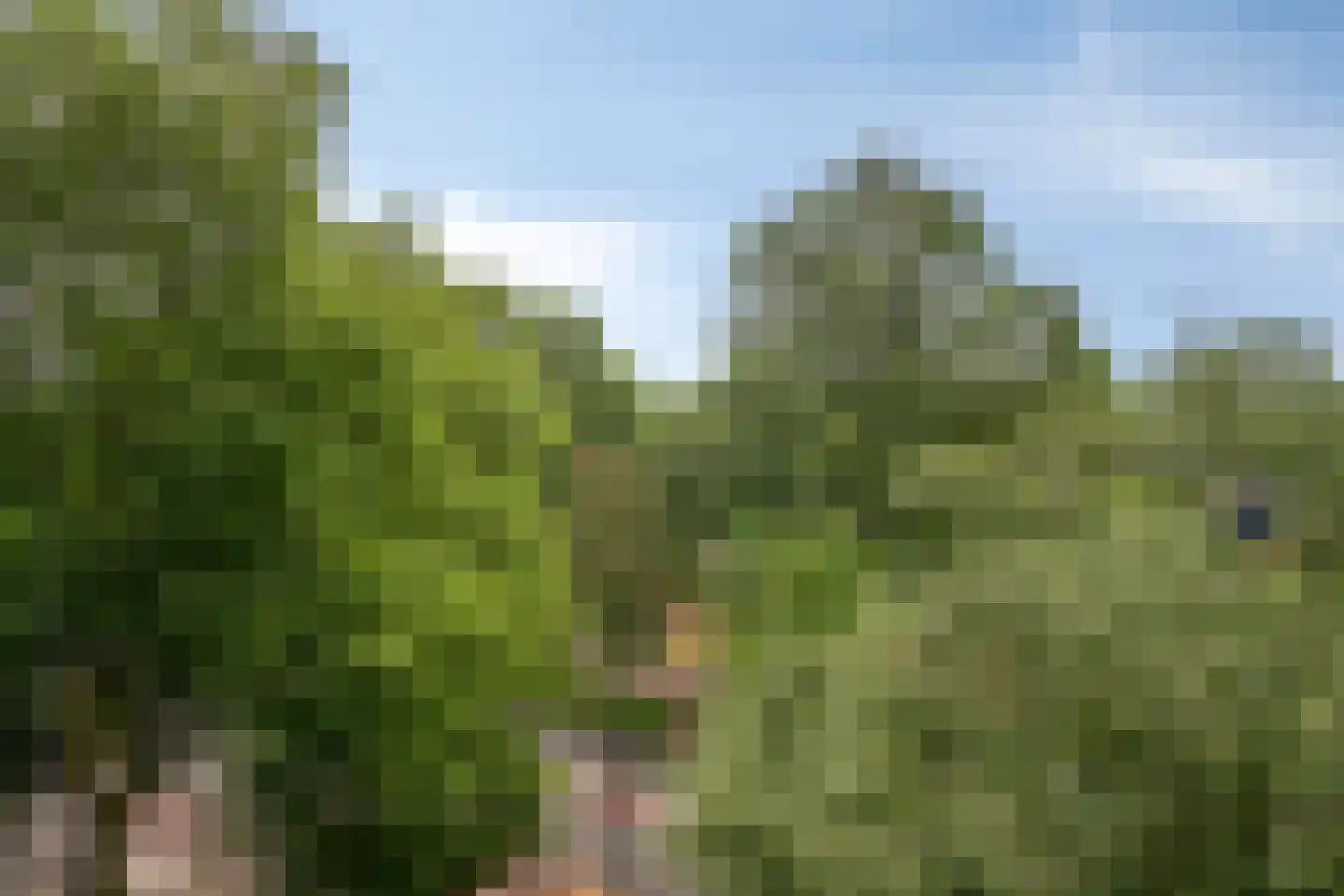 De Akkeren 83 Soest thumbnail 23