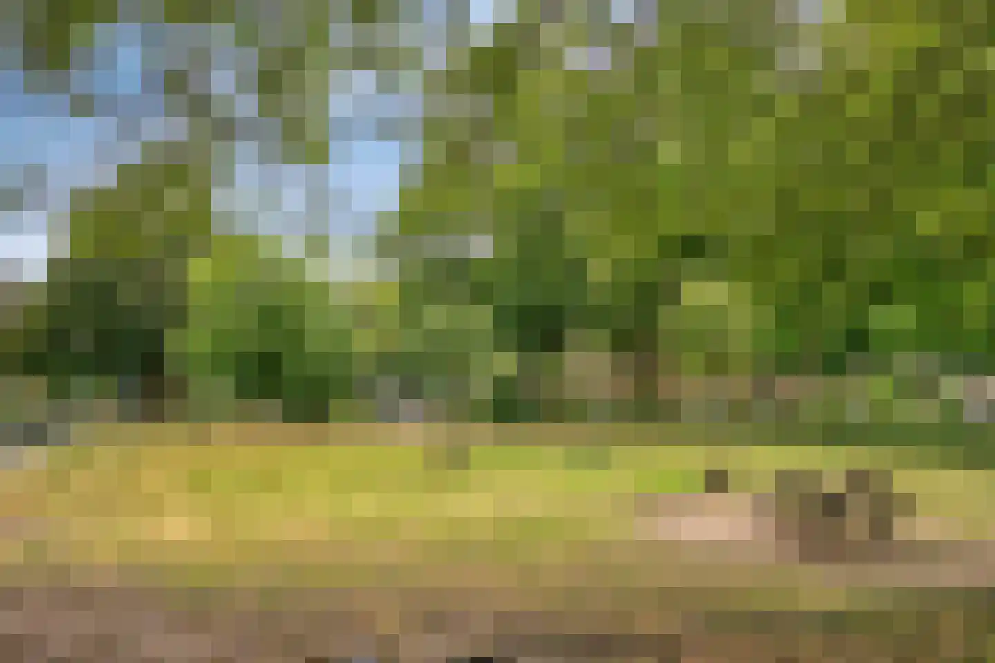 De Akkeren 83 Soest thumbnail 25