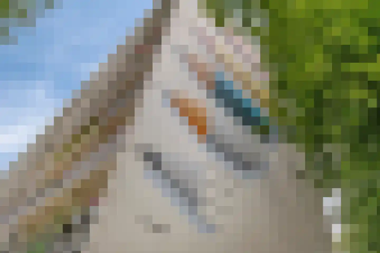 De Akkeren 83 Soest thumbnail 30