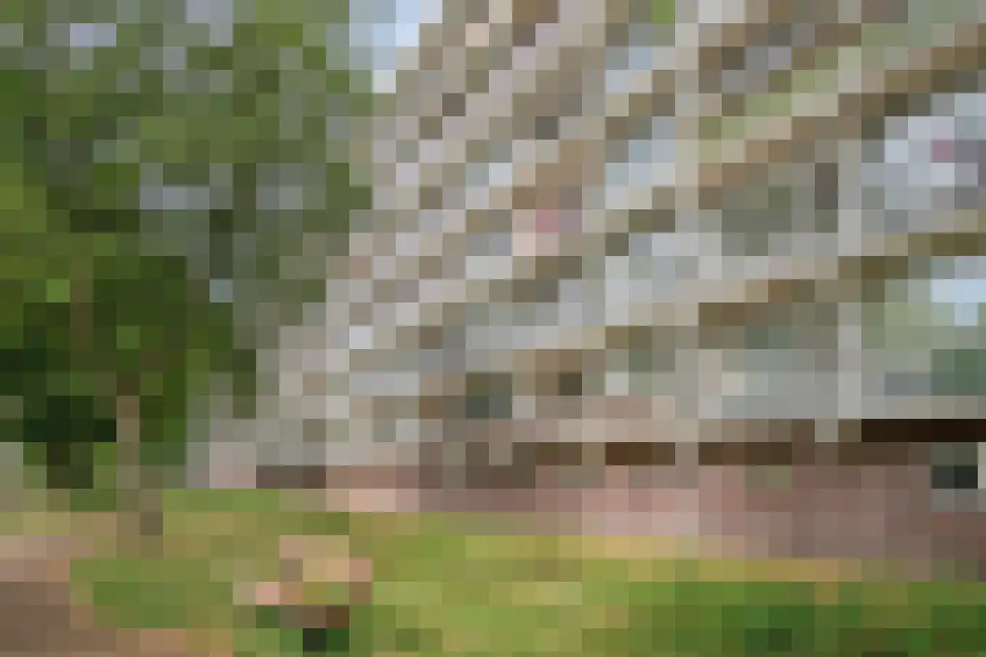 De Akkeren 83 Soest thumbnail 31