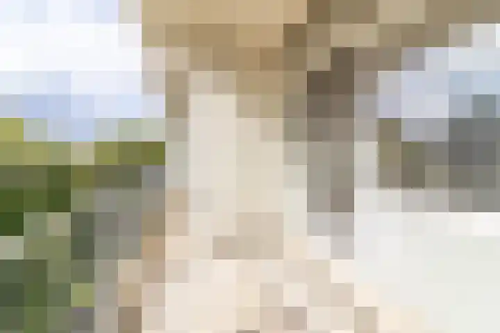 De Akkeren 87 Soest thumbnail 8