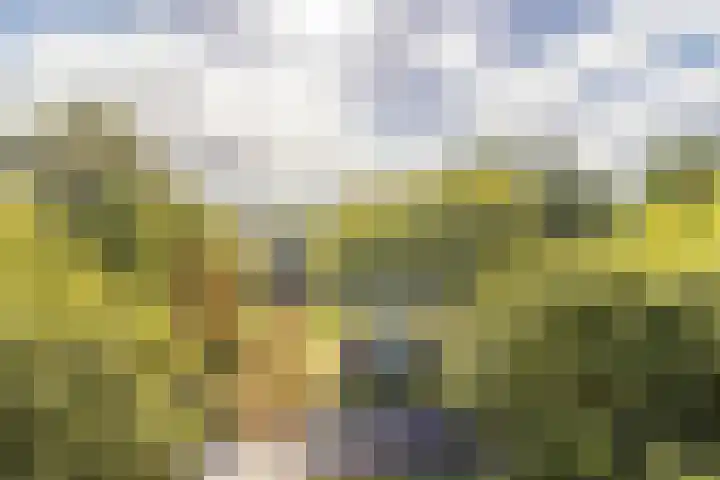 De Akkeren 87 Soest thumbnail 9