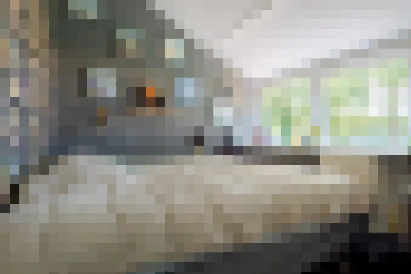 De Akkers 10 Westerbork thumbnail 35