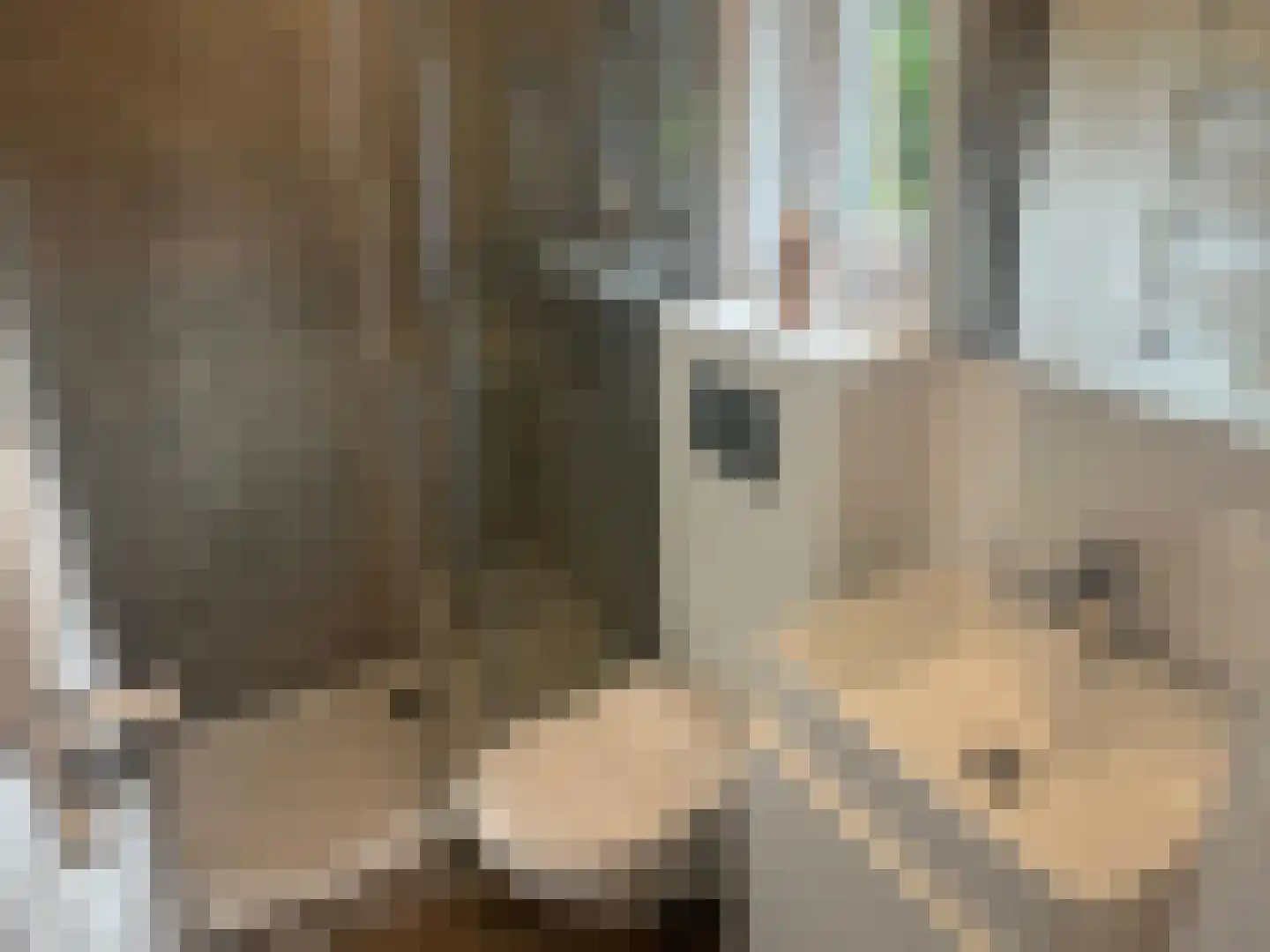 de Akkers 12 Oude Pekela thumbnail 16