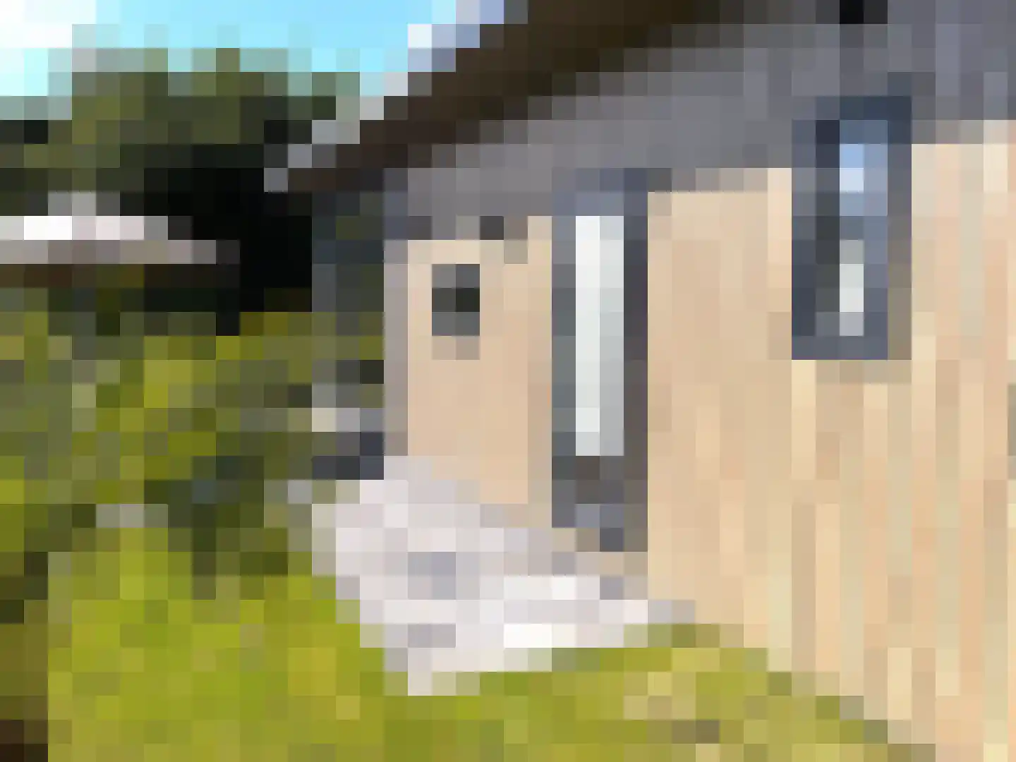de Akkers 12 Oude Pekela thumbnail 21