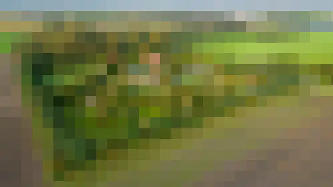 de Akkers 12 Oude Pekela thumbnail 27