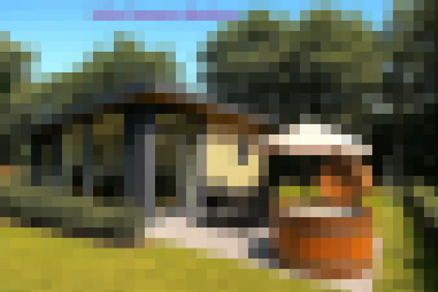 de Akkers 12 Oude Pekela thumbnail 29