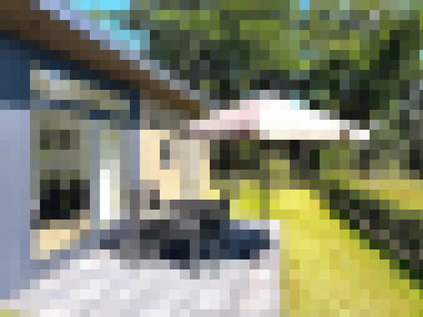 de Akkers 12 Oude Pekela thumbnail 6
