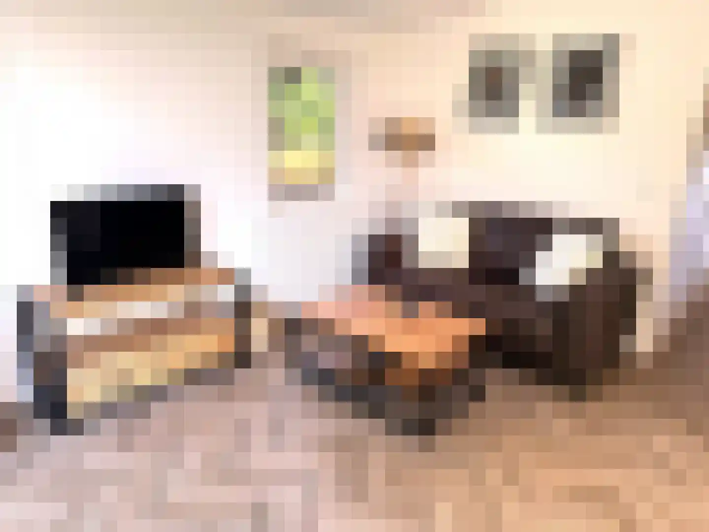 de Akkers 12 Oude Pekela thumbnail 7
