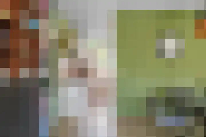 de Akkers 14 Kommerzijl thumbnail 13