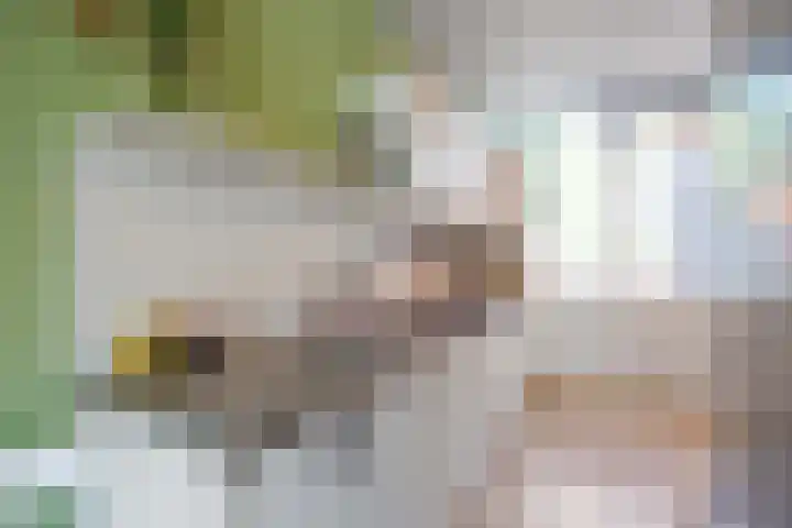 de Akkers 14 Kommerzijl thumbnail 14