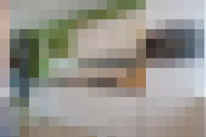 de Akkers 14 Kommerzijl thumbnail 16