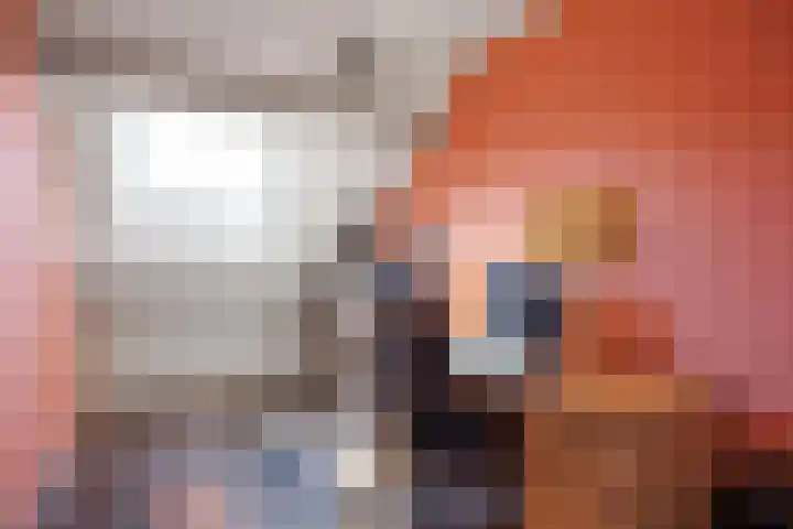 de Akkers 14 Kommerzijl thumbnail 22