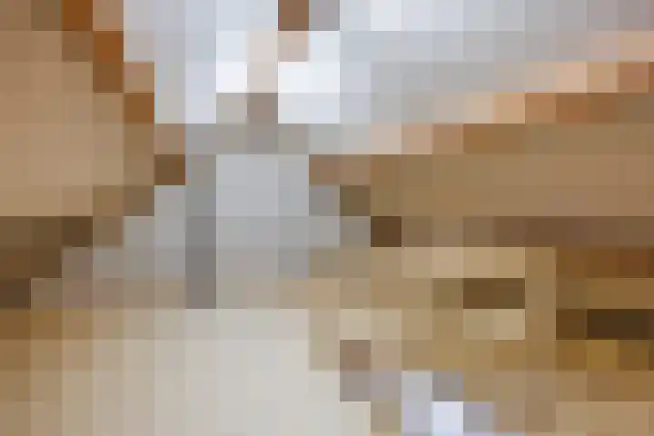 de Akkers 14 Kommerzijl thumbnail 26