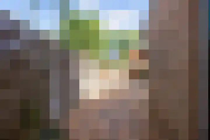 de Akkers 14 Kommerzijl thumbnail 28
