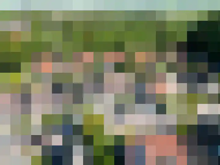 de Akkers 14 Kommerzijl thumbnail 32