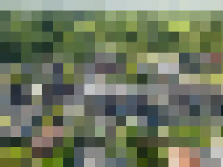 de Akkers 14 Kommerzijl thumbnail 33