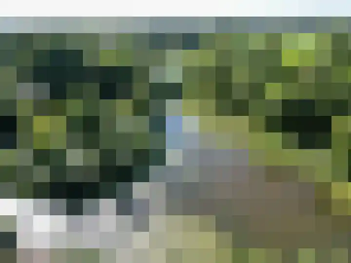 de Akkers 14 Kommerzijl thumbnail 34
