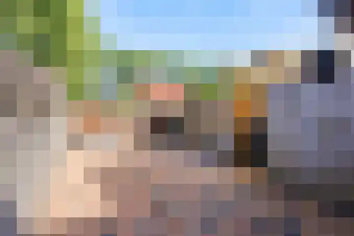 de Akkers 14 Kommerzijl thumbnail 4