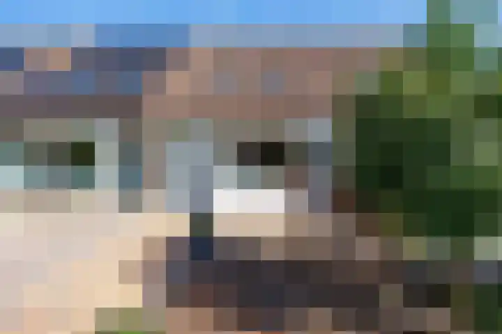 de Akkers 14 Kommerzijl thumbnail 5