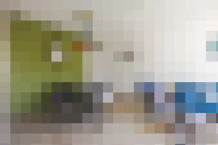 de Akkers 14 Kommerzijl thumbnail 8