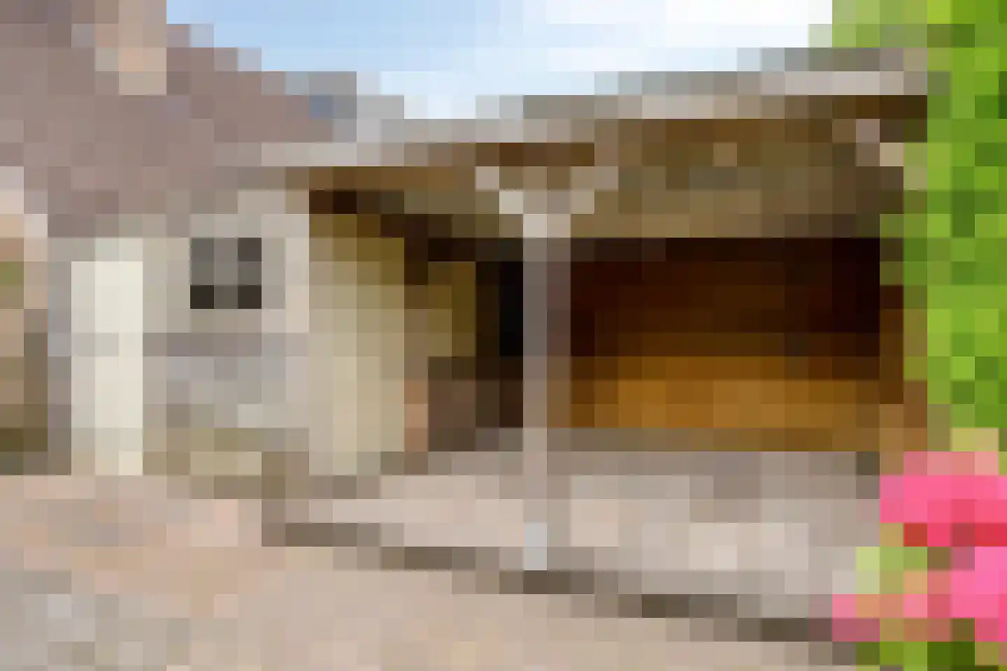 de Akkers 16 Kommerzijl thumbnail 31